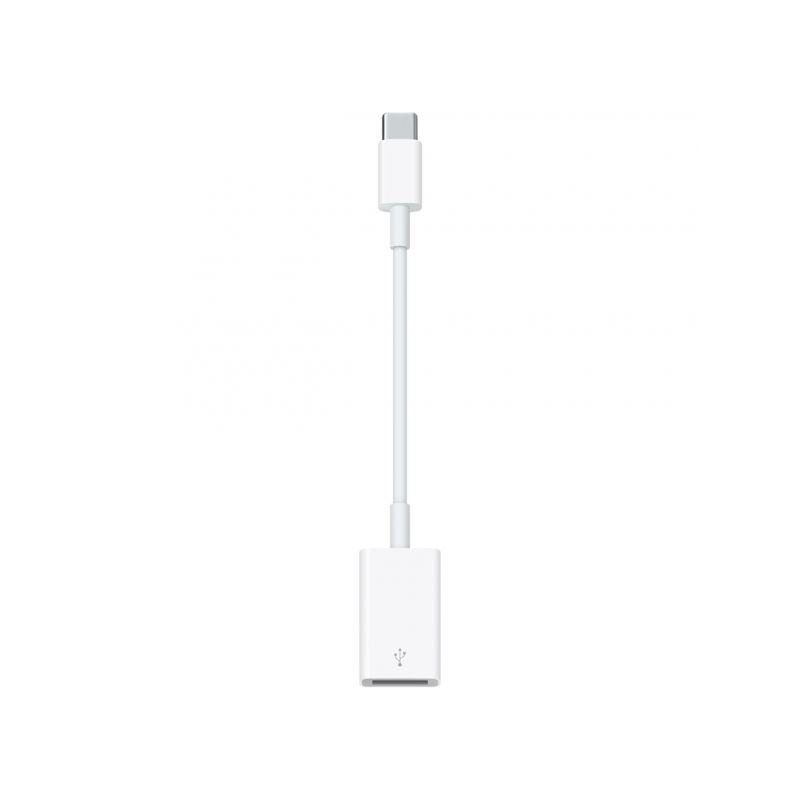 Apple Câble Lightning vers Jack 3.5 mm (Blanc) - Accessoires Apple -  Garantie 3 ans LDLC